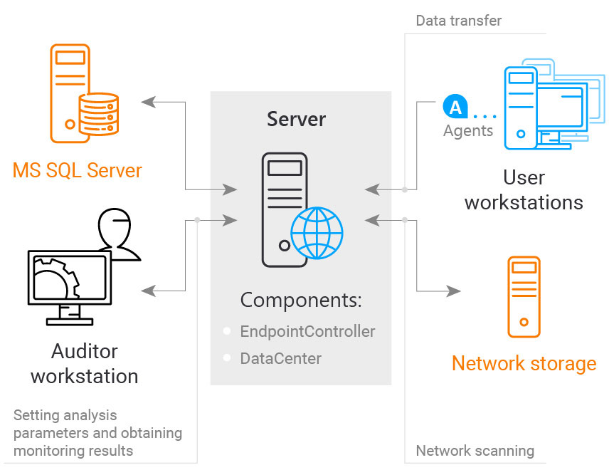 File Audit & Data Discovery